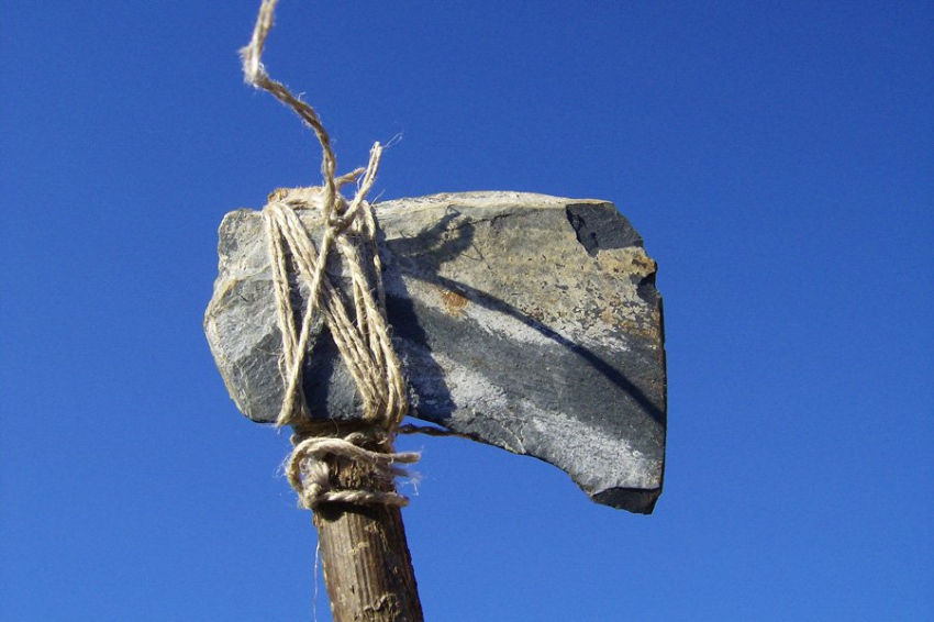 JHE: использование орудий труда развилось задолго до появления рода Homo