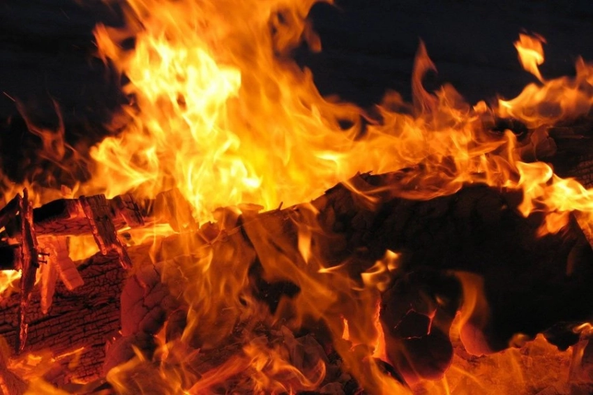 Первые люди на Тасмании принесли огонь и навсегда изменили землю