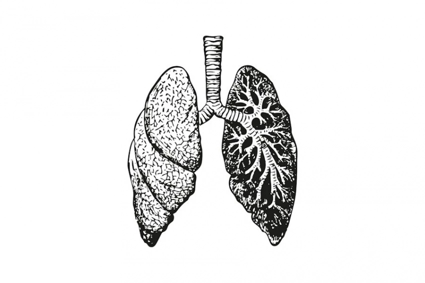 Вейпы опаснее сигарет: как модное увлечение разрушает здоровье