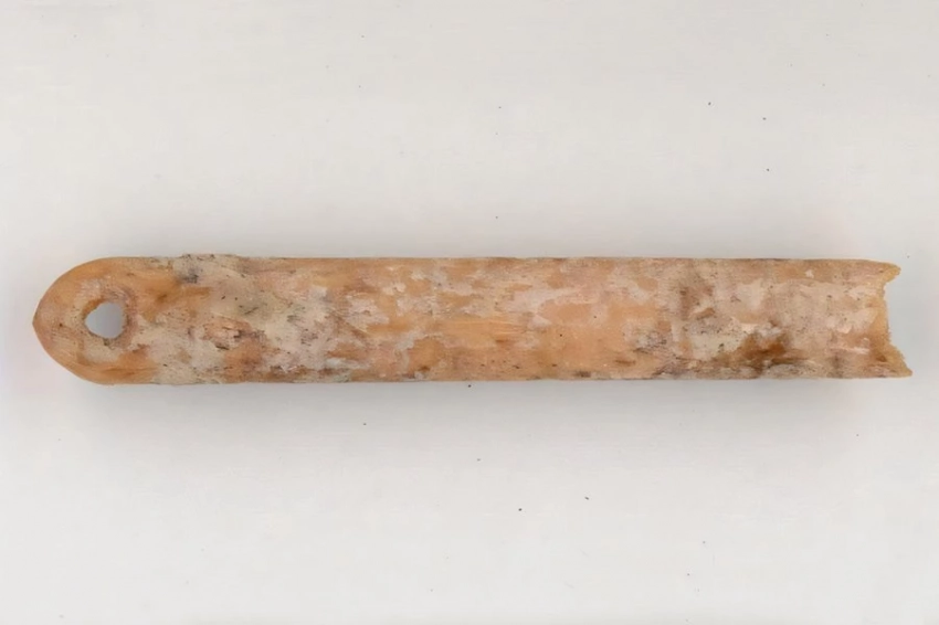 PLOS ONE: древние североамериканцы делали иглы из костей пушных зверей