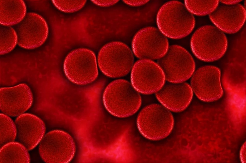 JAMA Neurology: уровень холестерина в крови влияет на здоровье мозга