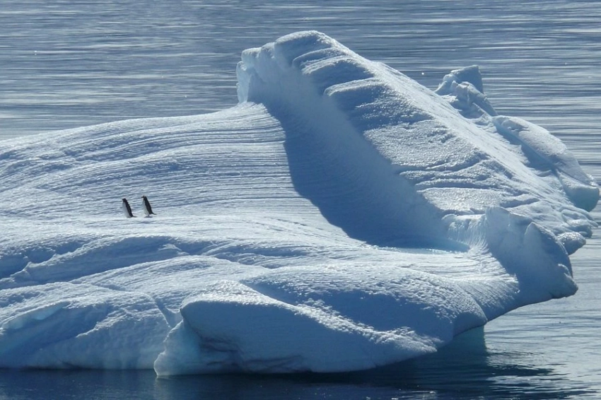 Эксперт Кокорин оценил вероятность полного таяния льда в Арктике