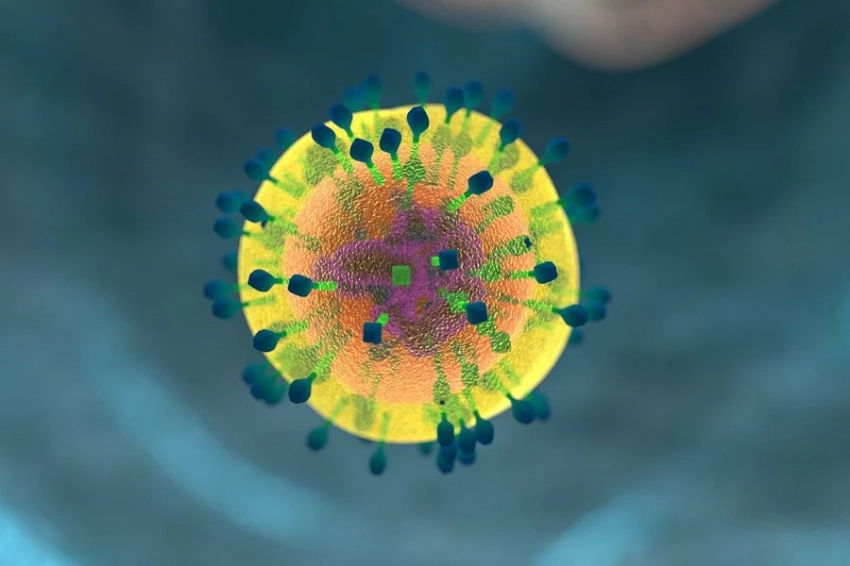 Ученые установили новую связь между питанием Т-клеток и идентичностью