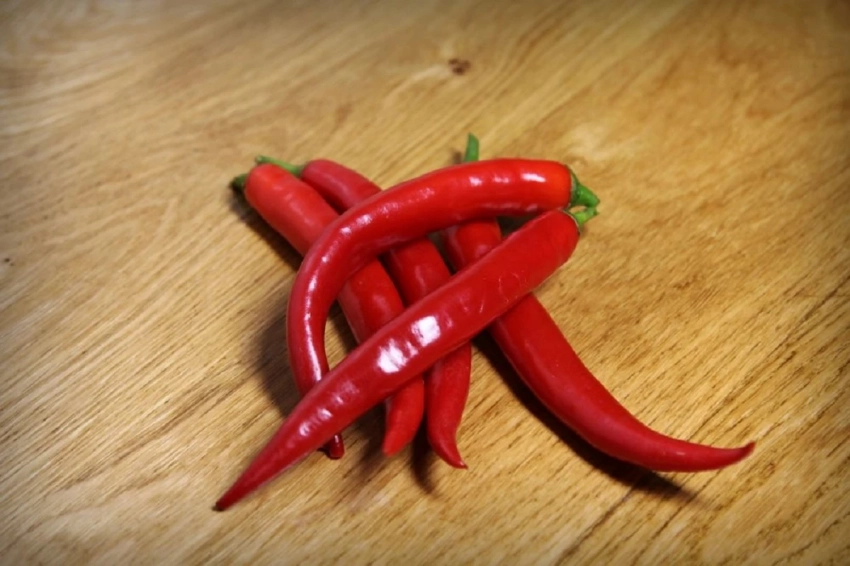 Bloomberg сообщил, что из-за глобального потепления перец чили стал менее острым