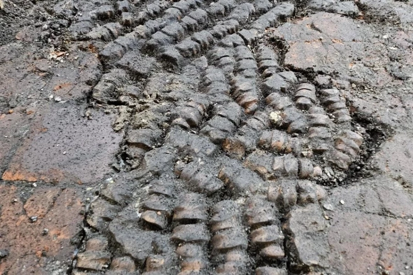 В Нидерландах обнаружили плиточный пол из коровьих костей
